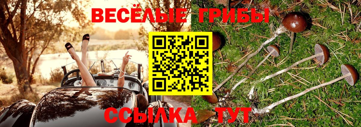 Псилоцибиновые грибы мицелий  Вход с VPN  Сарапул 